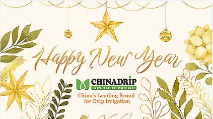 Уведомление Chinadrip о праздновании китайского Нового года (2024 г.)
        